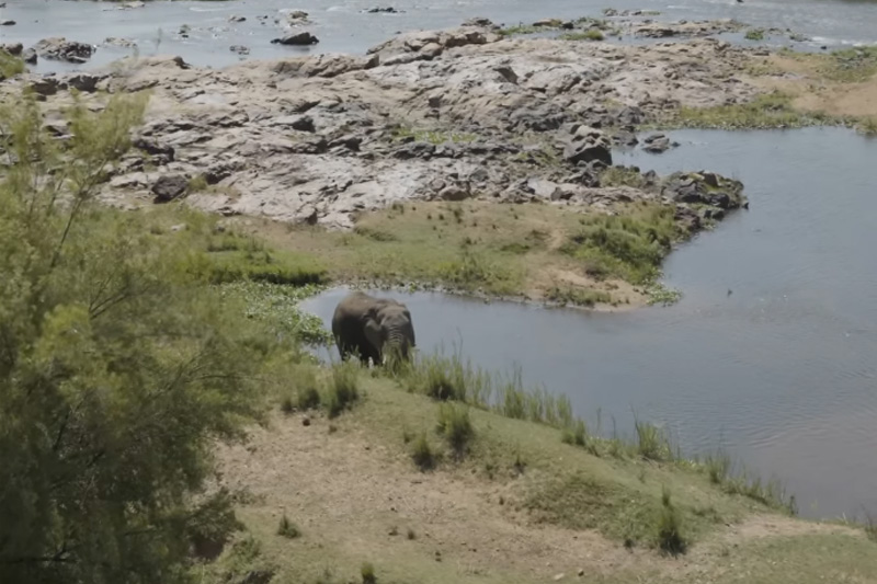 Only at Leopard Creek