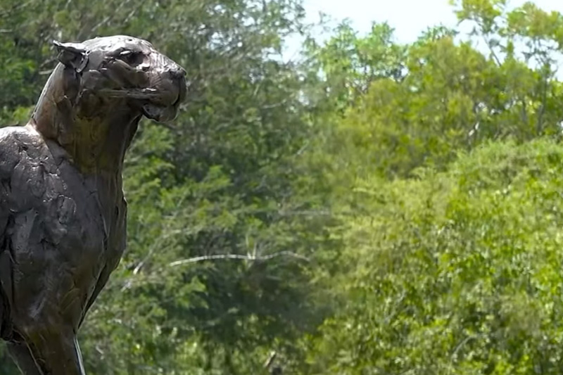 Another fantastic week at the 2024 Alfred Dunhill Championship. Congratulations to Shaun Norris